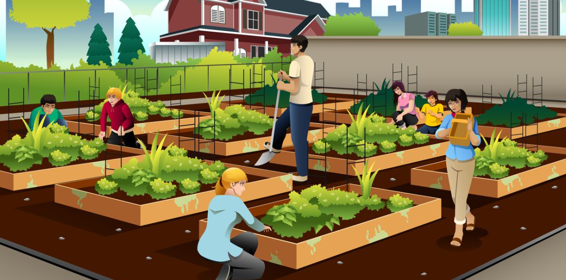 urban hydroponics agriculture