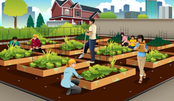 urban hydroponics agriculture