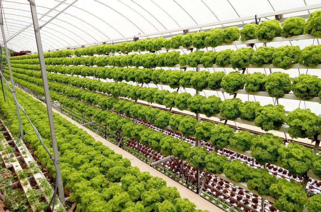 Sustainable Growing inhydro