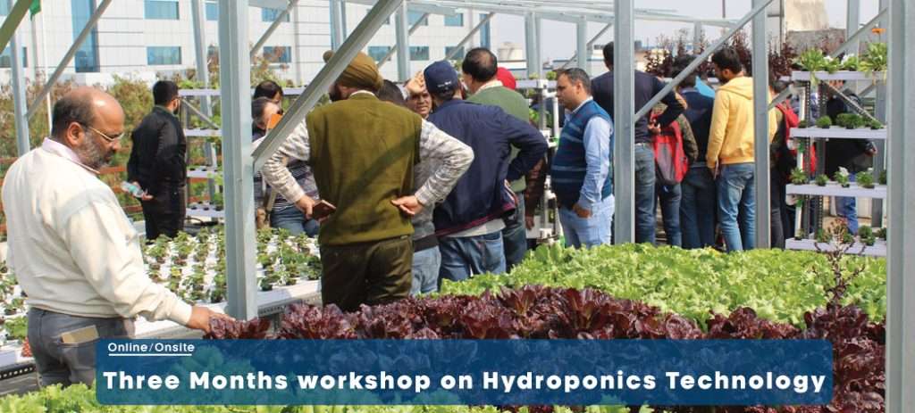 hydroponics hobby garden company