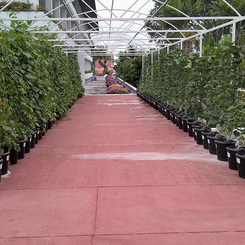 hydroponic farming training