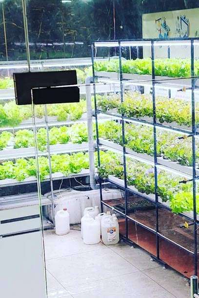 Become-A-Skill-Hydroponic-Grower