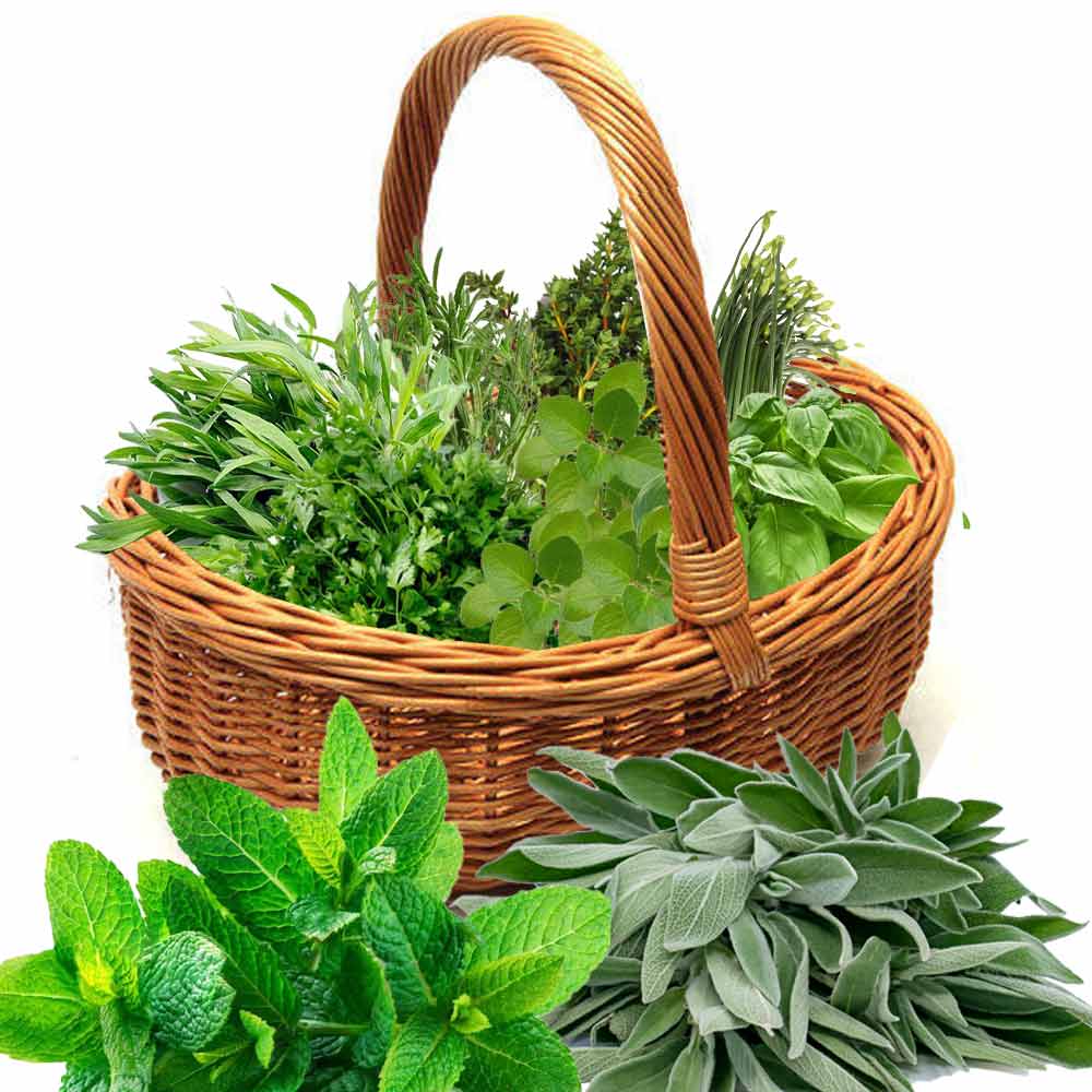 mix herbs basket