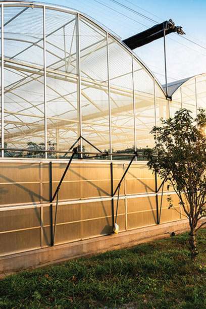 Innovative Solutions For Your Growing Environment 1