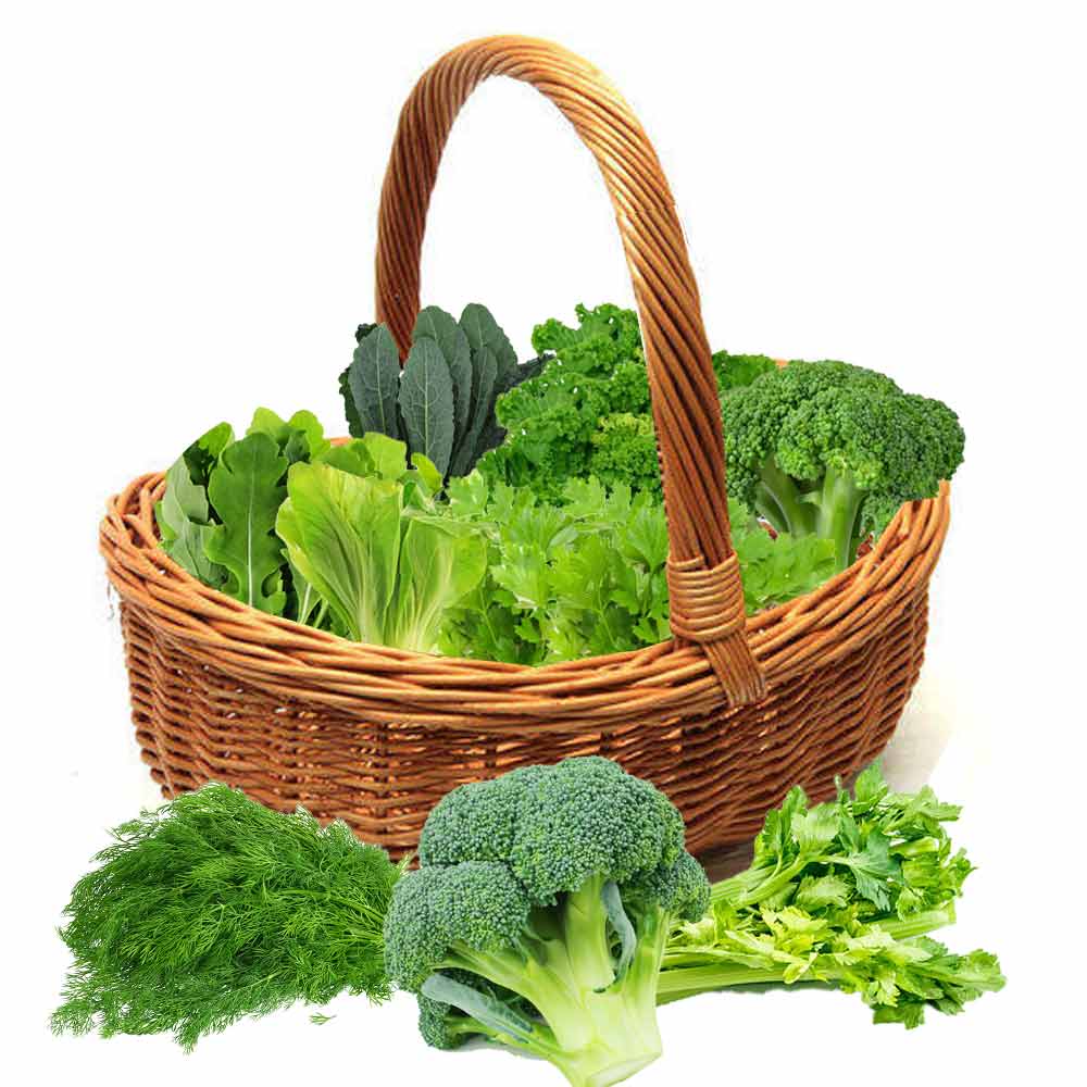 Leafy-Green-Basket