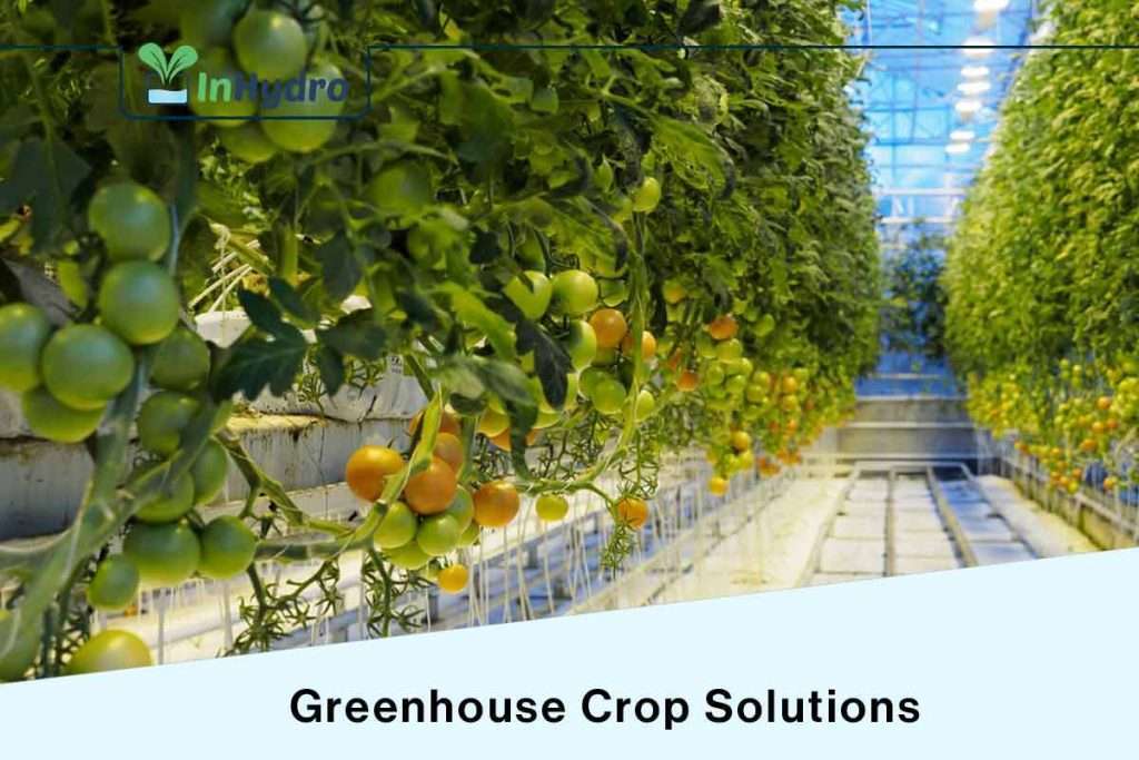 greenhouse crops solutions