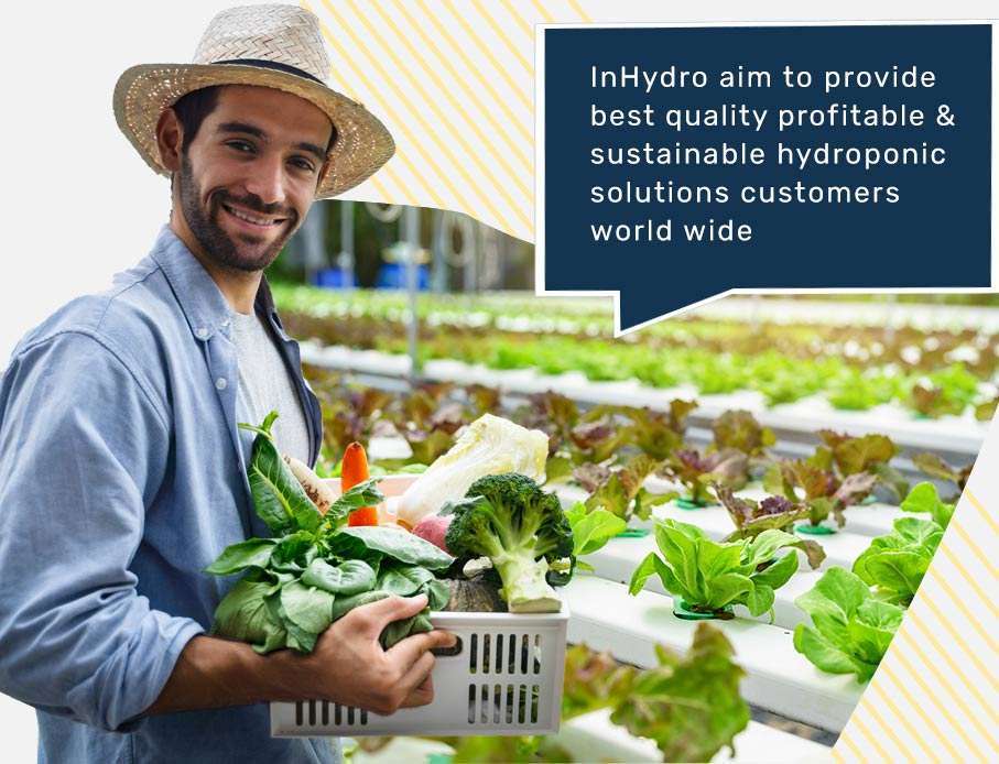 Hydroponics Consulting Services-inhydro