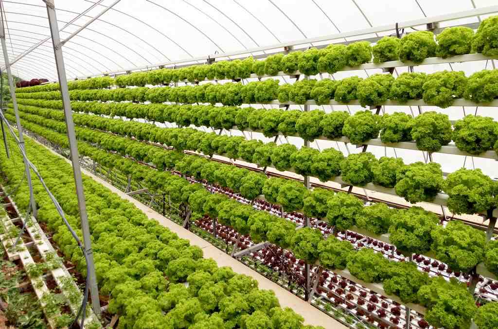 Sustainable Growing Solutions hydroponics -inhydro