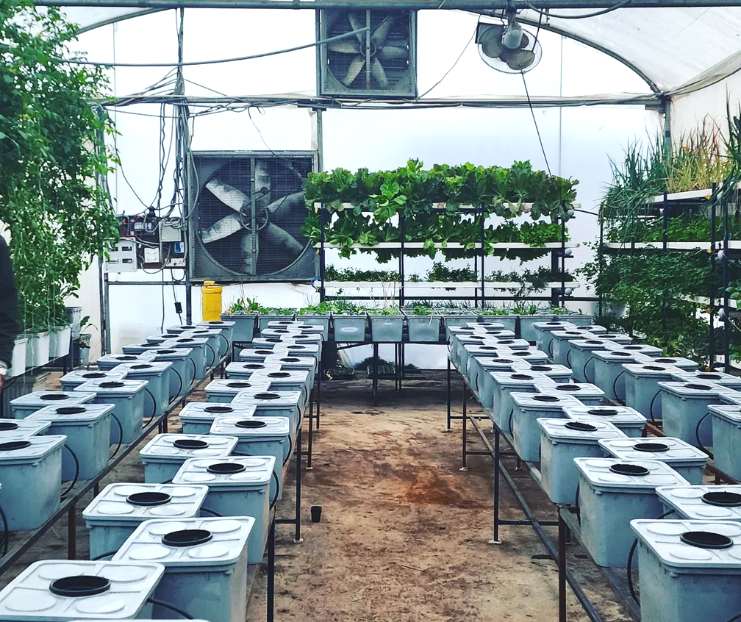commercial indoor hydroponic farms