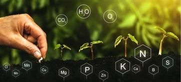 10 Hydroponic Nutrients Your Plants Inhydro