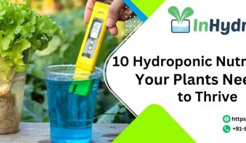 hydroponics company in india