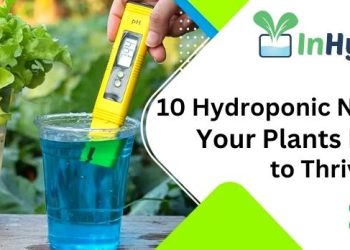 10 Hydroponic Nutrients Your Plants Need to Thrive
