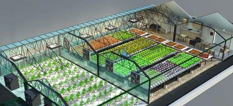 Hydroponic Rooftop Farm Setup Cost inhydro