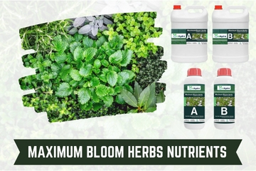 Maximum Bloom Herbs nutrients inhydro