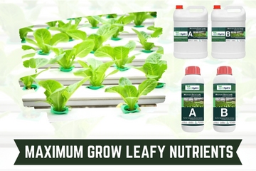 Maximum Grow Leafy Nutrients inhydro