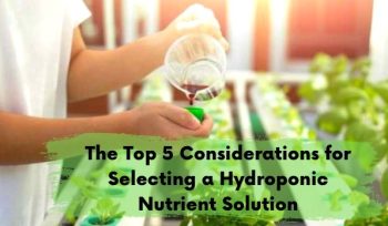 nft channels for hydroponics