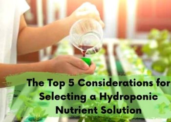 The Top 5 Considerations for Selecting a Hydroponic Nutrient Solution