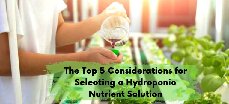 The Top 5 Considerations for Selecting a Hydroponic Nutrient Solution