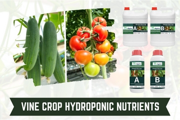 Vine Crop Hydroponic Nutrients inhydro