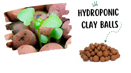 clay ball inhydro-