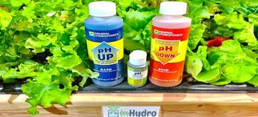 hHydroponic-Nutrients PH Down