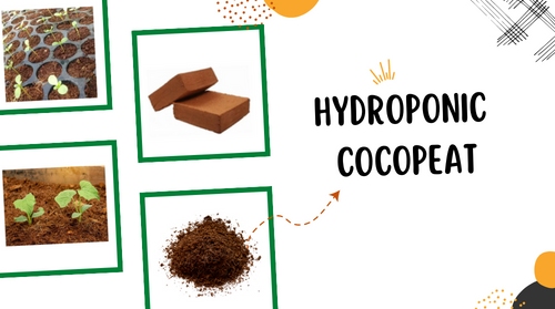 hydroponic cocopeat- inhydro