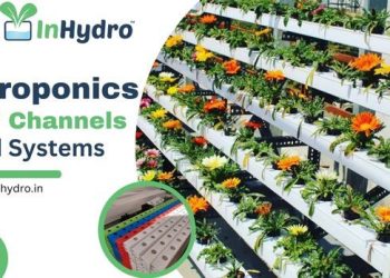 Hydroponics NFT Channels and Systems in India