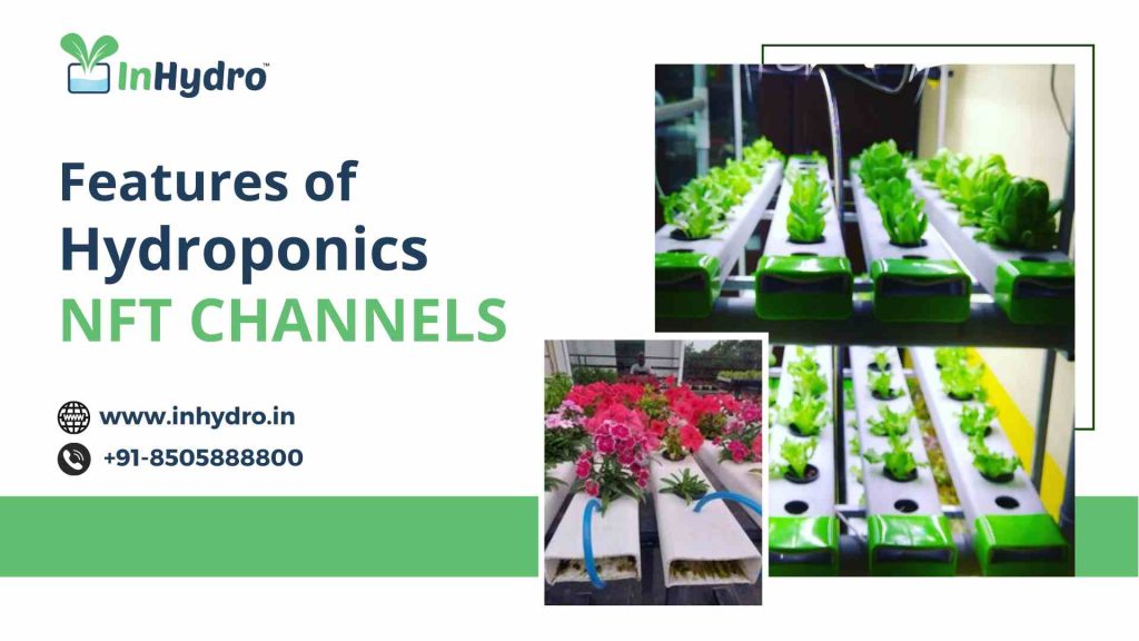 features of hydroponic NFT channel