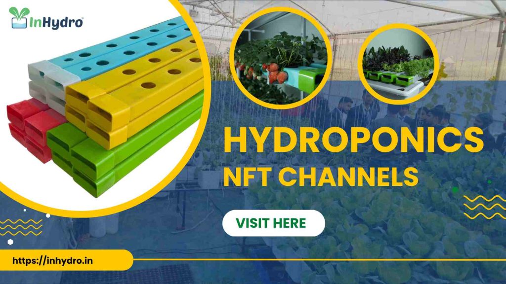 hydroponic nft channel