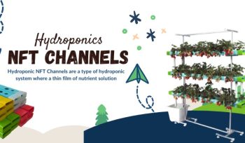 hydroponics NFT Channels- InHydro