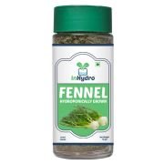 Dry Fennel 10g Hydroponically Grown Pesticide-Free