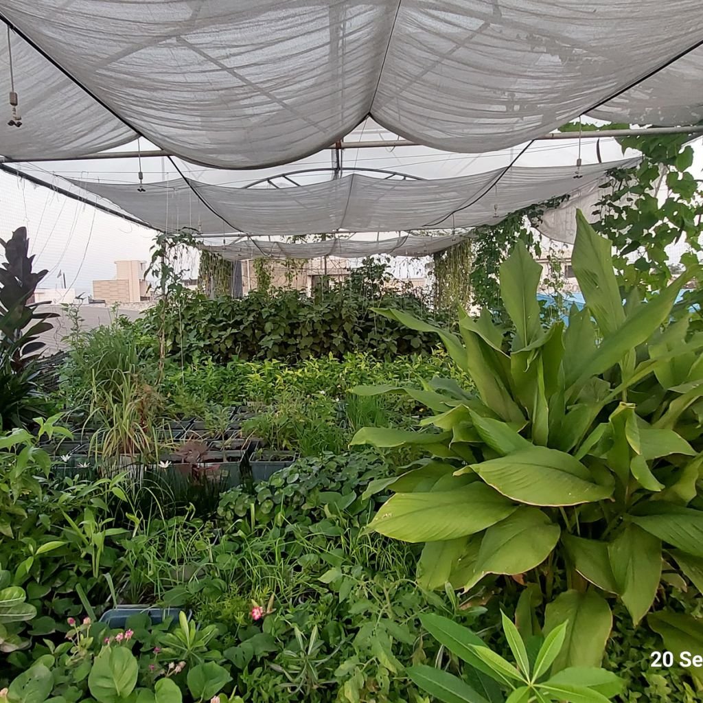 Rooftop-Lounge-Gardens