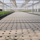 NFT FARM