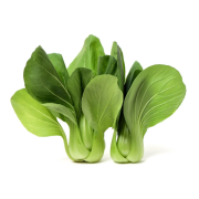 Bokchoy – Hydroponically Grown 100g