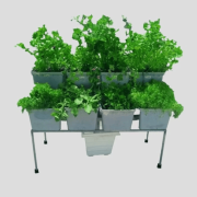 Dual Tier 8 Dutch Bucket System for Hydroponics