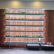 96 Plants Indoor NFT Hydroponics Setup