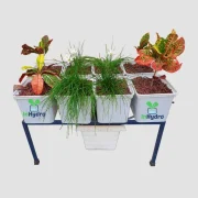 8 Dutch Bucket System for Hydroponics