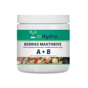 Berries A&B Nutrients (Granule Form) 250 gm