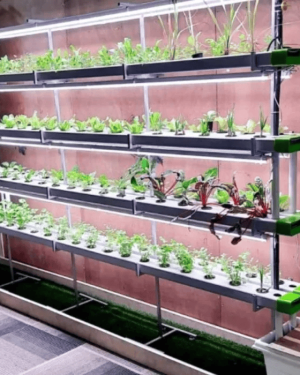 128 Plant Indoor Hydroponic System