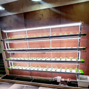 128 Plant Indoor Hydroponic System