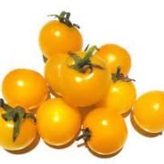 Premium Cherry Tomato – Hydroponically Grown 500gm (Yellow)