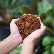 Cocopeat – 4.5 to 5kg Natural Growing Medium