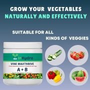 Vine Crop A&B Nutrients (Granule Form) 250 gm