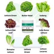 Lettuce Crop A&B Nutrients (Granule Form) 250 gm