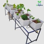 Zig Zag 10 Dutch Bucket Hydroponics System