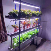 24 Plant Indoor Hydroponics System