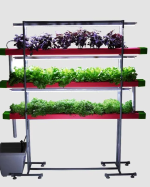 24 Plant Indoor Hydroponic System