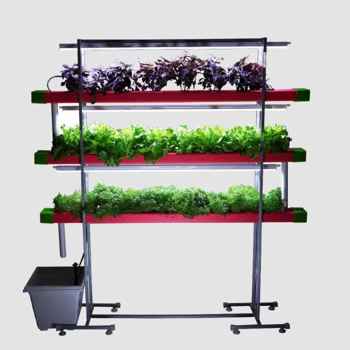 Gallery Detail: 24 Plant Indoor Hydroponics System Inhydro
