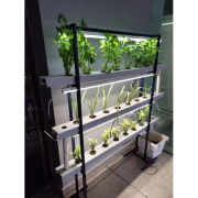 24 Plant Indoor Hydroponics System