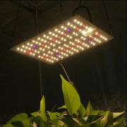 150 W LED Grow Light Panel for plants